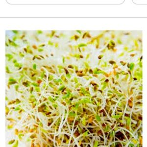 COPY - COPY - Sanrio bundle for Fun